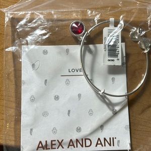 Alex and Ani love bracelet NWT! July silver bangle